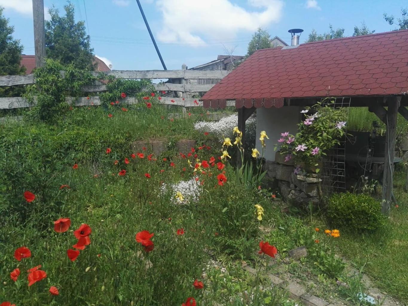 Gaestehaus Zum Gesundheitszentrum Matz Sulzdorf an der Lederhecke ภายนอก รูปภาพ